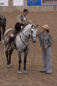 Lusitano Breed Society of Great Britain Show - Hartpury College - 27th June 2009